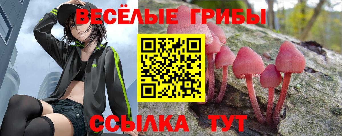 Галлюциногенные грибы прущие грибы  Вход с VPN  Псилоцибиновые грибы MAGIC MUSHROOMS  Красный Сулин 