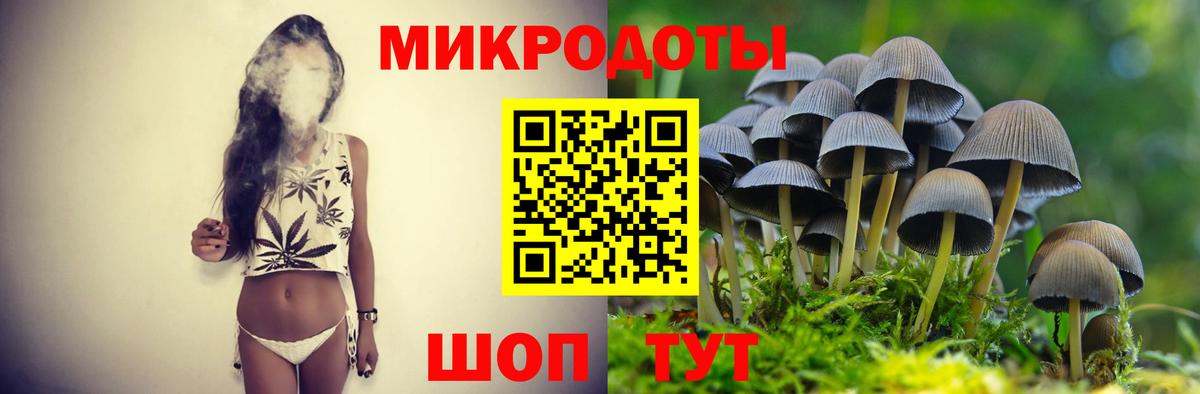 Галлюциногенные грибы GOLDEN TEACHER Красный Сулин